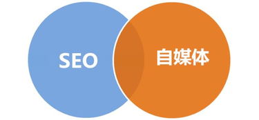 行吟科技助力企業騰飛 上海網絡推廣策略與方法深度解析